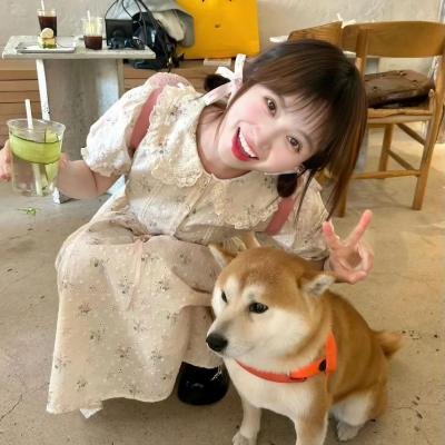 报告王爷，王妃是只猫2